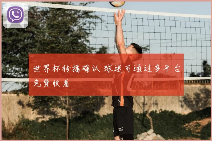 世界杯转播确认 球迷可通过多平台免费收看